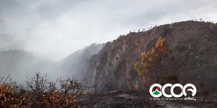 Ministro de Medio Ambiente: Cabeza del fuego en Los Carozos está controlado y extinguido