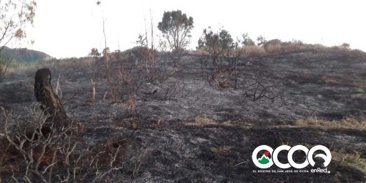 Ministro de Medio Ambiente asegura incendio no quedara impune; agradece autoridades de Ocoa