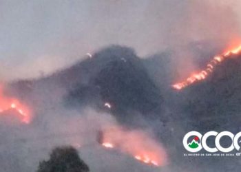 Brigadas de Medio ambiente y voluntarios buscan sofocar fuego forestal en zona Los Corozos