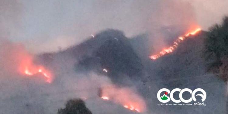 Brigadas de Medio ambiente y voluntarios buscan sofocar fuego forestal en zona Los Corozos