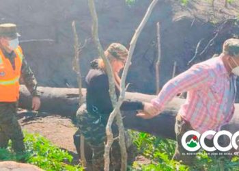 Realizan levantamiento de los daños ocasionados por incendio forestal en Ocoa