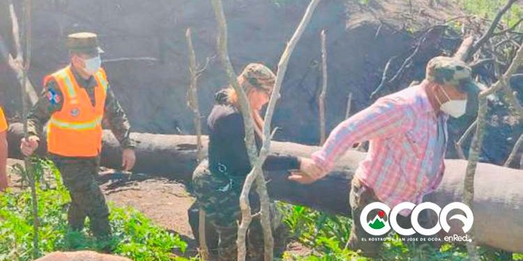 Realizan levantamiento de los daños ocasionados por incendio forestal en Ocoa