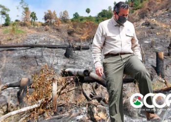 Ministro Medio Ambiente visita zona afectada por incendio; tienen identificados supuestos responsables