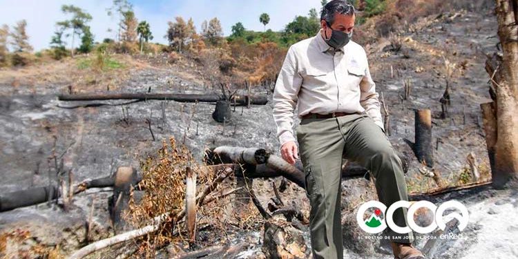 Ministro Medio Ambiente visita zona afectada por incendio; tienen identificados supuestos responsables