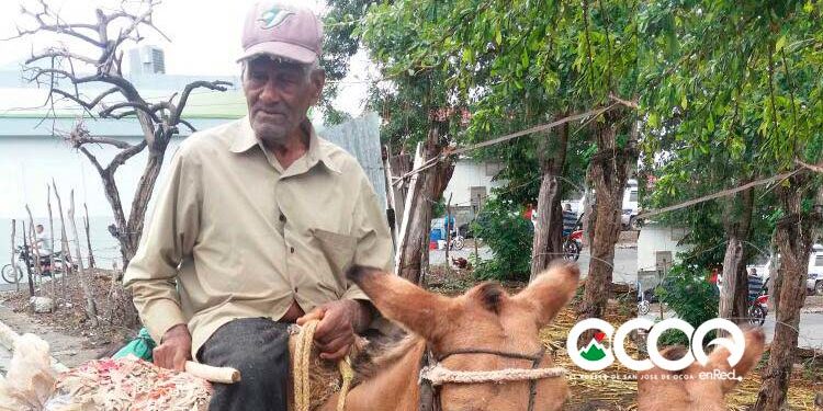 José Francisco Arias Mejía Don Chicho… 100 años de vida