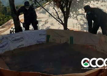 Desmantelan gallera clandestina en La Colonia de Rancho Arriba