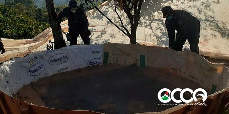 Desmantelan gallera clandestina en La Colonia de Rancho Arriba