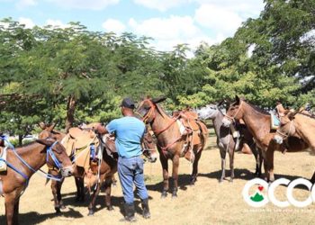 Medio Ambiente dona mulos y motocicletas para reforzar vigilancia del Parque Nacional Luis Quin