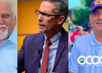 Tres ocoeños escogidos al Comité Central del PLD