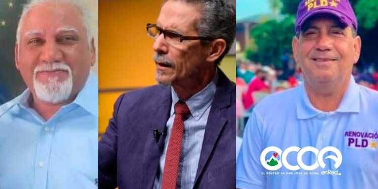 Tres ocoeños escogidos al Comité Central del PLD