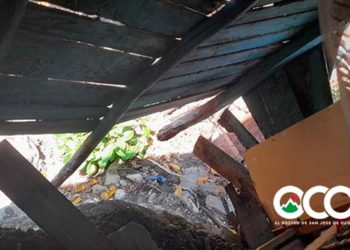 VIDEO: Madre soltera y tres hijos pide ayuda para construcción de vivienda