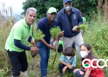 Óptica Almánzar y la Fundación Mundo Verde reforestan en Rancho Arriba