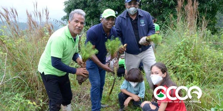 Óptica Almánzar y la Fundación Mundo Verde reforestan en Rancho Arriba