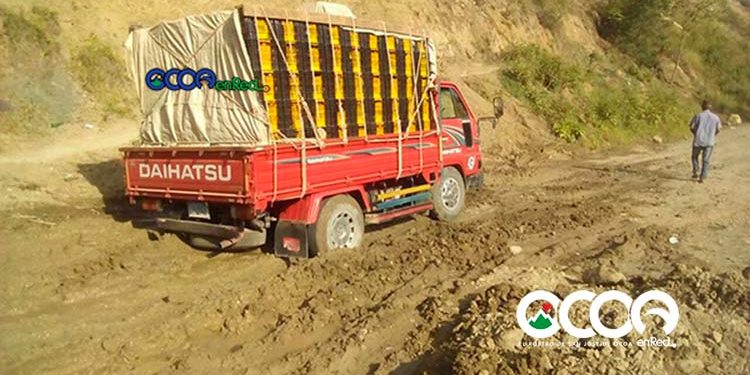 Turismo, agricultura y las carreteras sin fondo