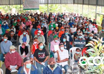 Como “sardinas” actividad en La Horma; 273 casos confirmados y 10 fallecidos en un mes