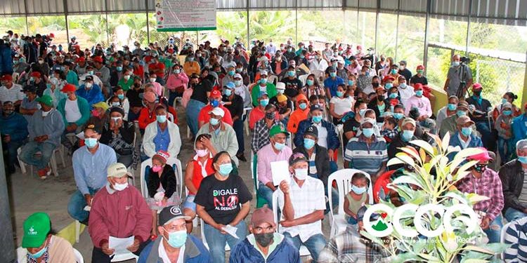 Como “sardinas” actividad en La Horma; 273 casos confirmados y 10 fallecidos en un mes