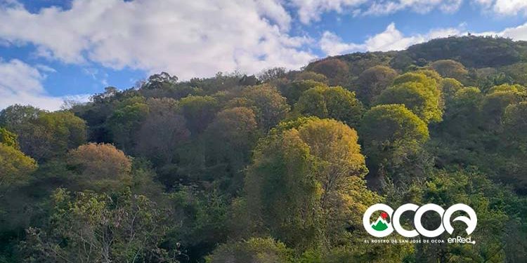 La Caobas de la Sata