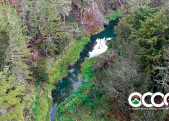 Cinco razones que convierten a Valle Nuevo en un enclave de producción de agua y biodiversidad