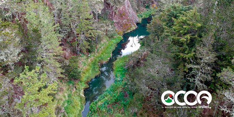 Cinco razones que convierten a Valle Nuevo en un enclave de producción de agua y biodiversidad
