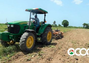 Agricultura inicia la aplicación de la veda a 17 mil tareas de cultivos en la región Sur