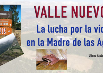 Valle Nuevo: La lucha por la vida en la Madre de las Aguas