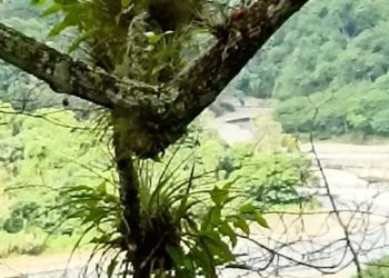 La Ciénaga Valle Encantado