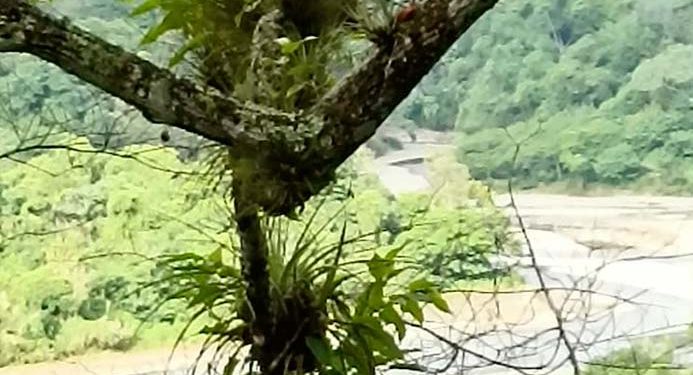 La Ciénaga Valle Encantado