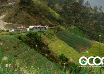 Medio Ambiente continua censo en comunidades de la zona Sur de Valle Nuevo con equipo multidisciplinario
