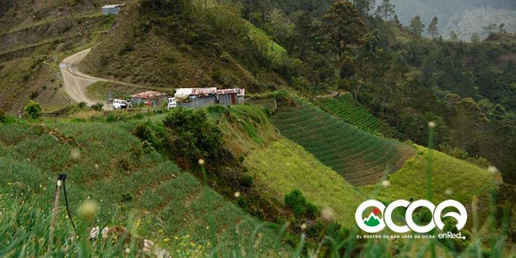 Medio Ambiente continua censo en comunidades de la zona Sur de Valle Nuevo con equipo multidisciplinario