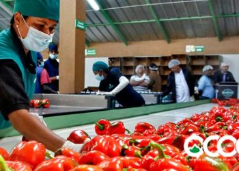 Cinco obras que están transformando a San José de Ocoa