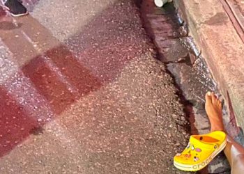 Mujer gravemente herida al ser atropellada por vehículo; chofer se dio a la fuga