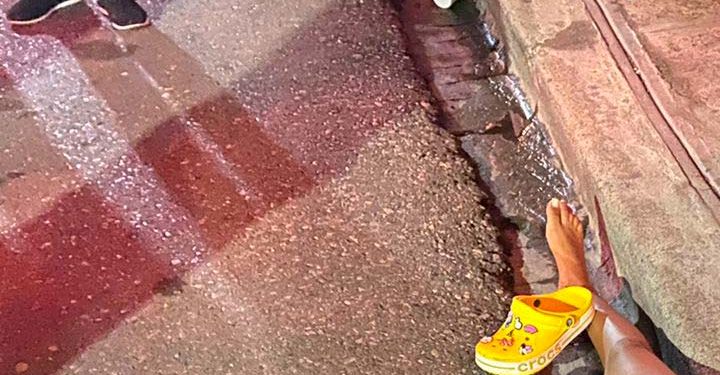 Mujer gravemente herida al ser atropellada por vehículo; chofer se dio a la fuga