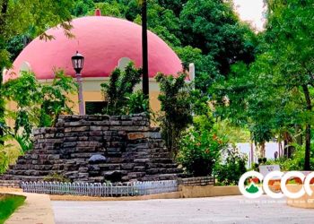 Otras caras del parque