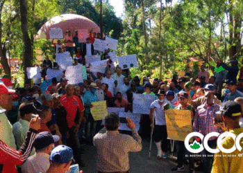 Productores de aguacates de Ocoa marchan por mejores precios; gobernadora promete ayuda