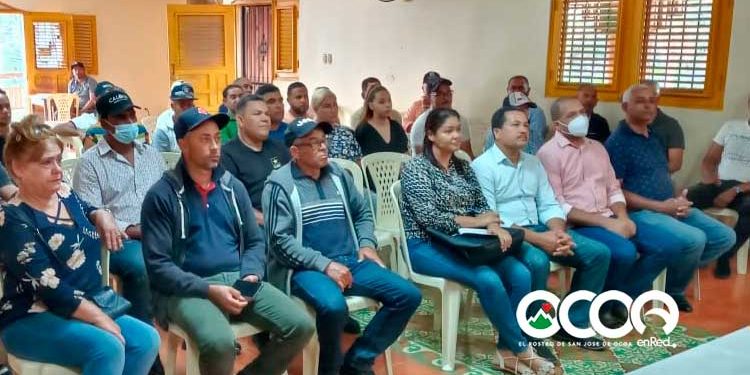 Constituyen cooperativa de productores de aguacates ocoeños