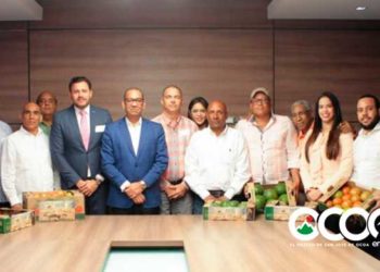 Gobierno dispone de 300 millones para carretera zona El Pinar; dos comisiones se reúnen en Obras Publicas