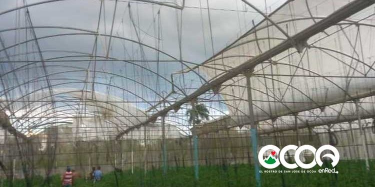 VIDEO: Nube cumulonimbus sorprende munícipes de Rancho Arriba; causa daños infraestructura de invernaderos