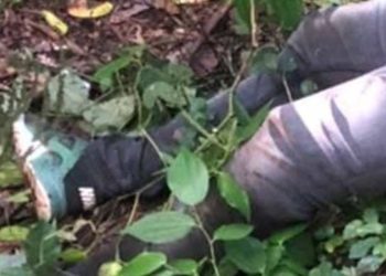 PN investiga hallazgo de cadáver en  La Ciénaga