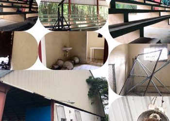 Básquetbol: “Entre el Auge y el Abandono”