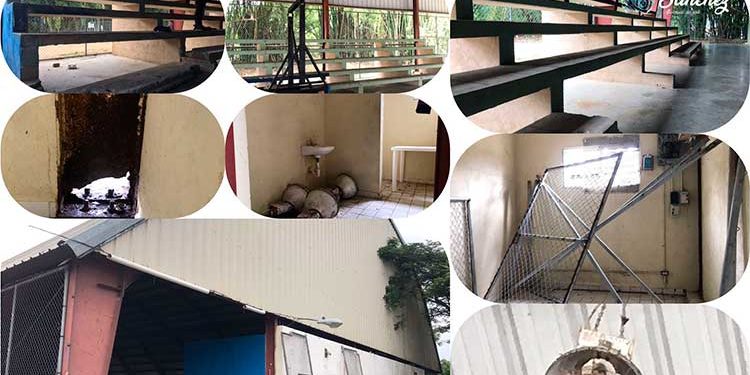 Básquetbol: “Entre el Auge y el Abandono”