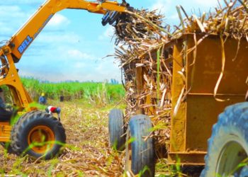 Estados Unidos ordena detener embarques de azúcar sin refinar del Central Romana