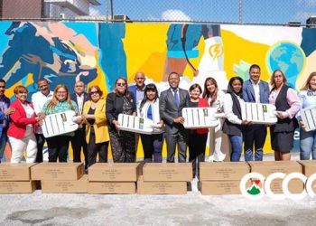 Edesur inicia instalación de 2,000 nuevas luminarias en las 10 provincias de su zona de concesión