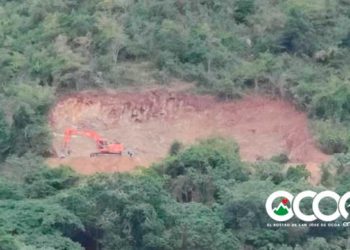 Instituciones preocupadas por talas indiscriminadas de importantes zonas boscosas en Ocoa