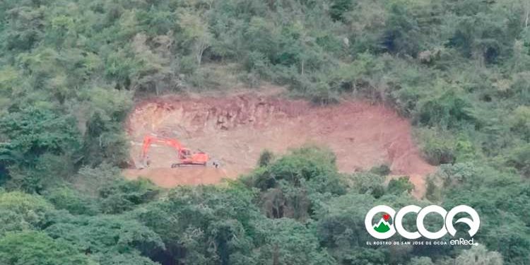 Instituciones preocupadas por talas indiscriminadas de importantes zonas boscosas en Ocoa