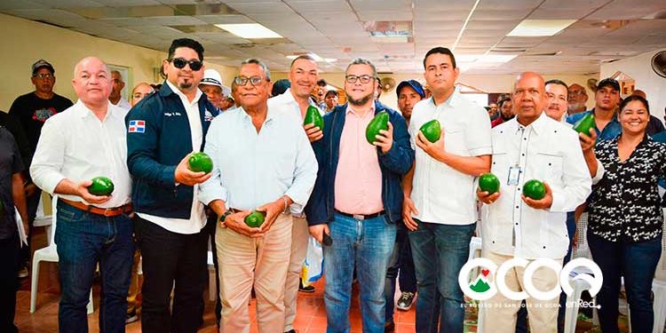 FEDA anuncia trabajos en empacadora de aguacates y otros proyectos en Ocoa