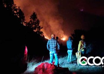 Sigue propagando incendio forestal en Parque Nacional Valle Nuevo