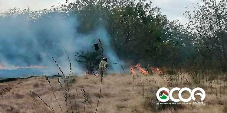 Incendios forestales en Valle Nuevo han disminuido; Medio Ambiente continúa labores para sofocarlo