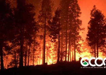 Academia de Ciencias dice RD requerirá entre 15 a 20 años recuperar cobertura forestal de Valle Nuevo