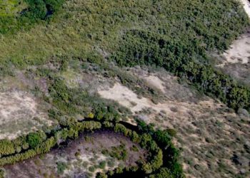  Academia de Ciencias dice daños por   construcción Muro Fronterizo serán irrecuperables