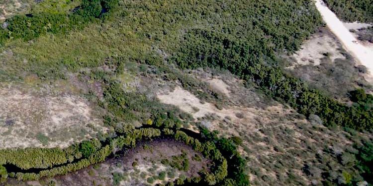  Academia de Ciencias dice daños por   construcción Muro Fronterizo serán irrecuperables